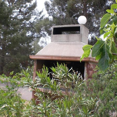 Apartmani Vesna فير المظهر الخارجي الصورة